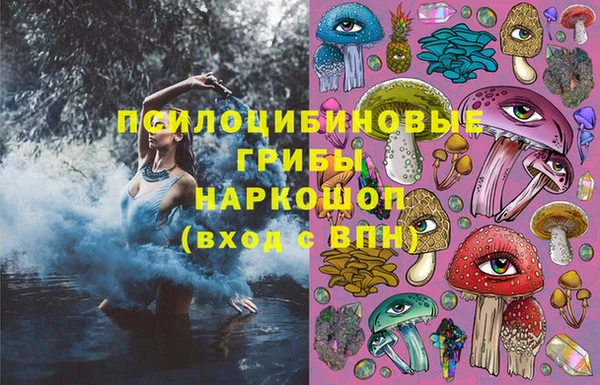 герыч Алексин