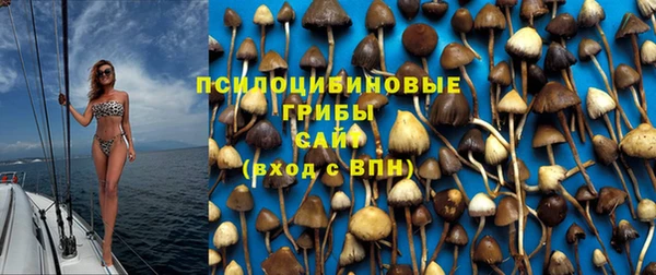 герыч Алексин