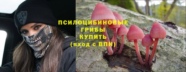 Альфа ПВП Алексеевка