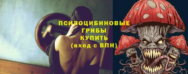 герыч Алексин