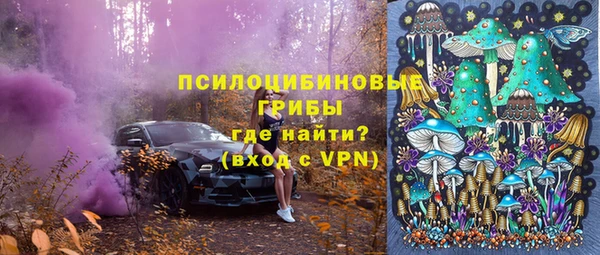 Альфа ПВП Алзамай