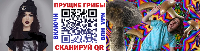 Галлюциногенные грибы мицелий  купить наркотик  Октябрьск 